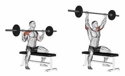 Shoulder press bar online